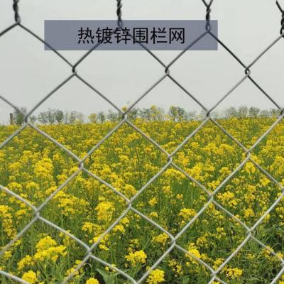 Chain Link Fence